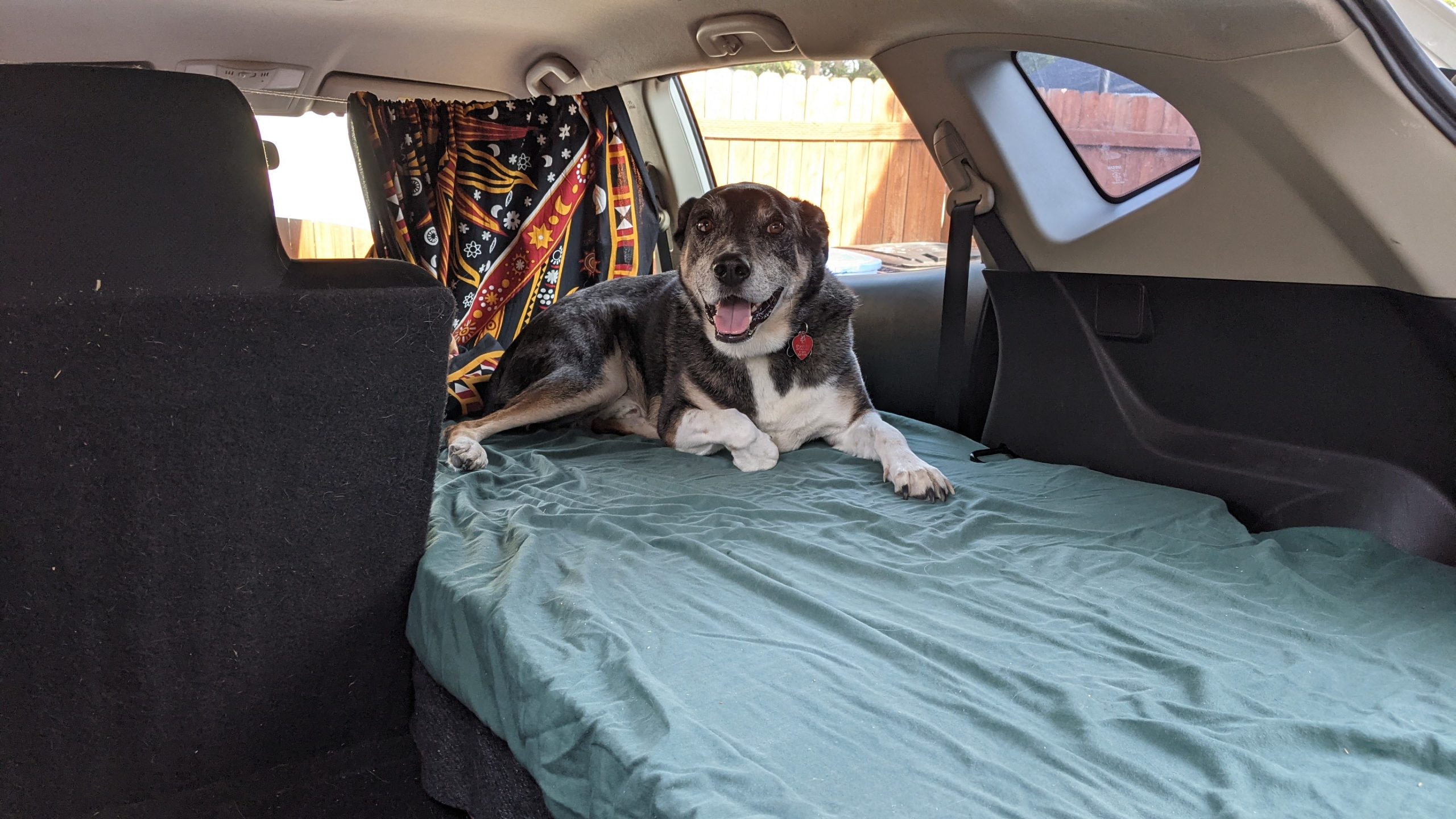 Read more about the article Low Budget Camper Conversion in a Nissan Rogue